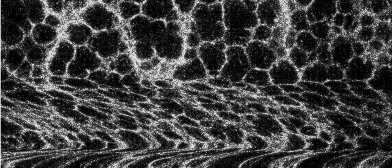 Motion artifact in a microscopic image of alveoli